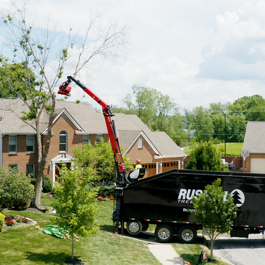 grapple saw truck