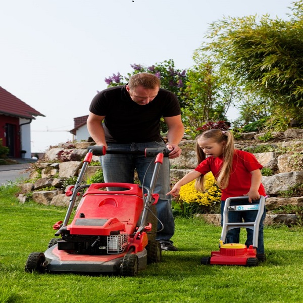 What Kind of Oil for Lawnmower