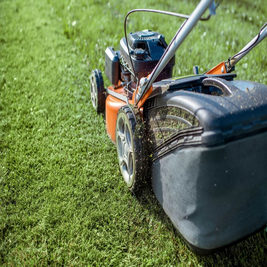 How to Dispose of Lawnmower Oil